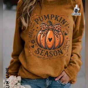 Pumpkin sweatshirt
